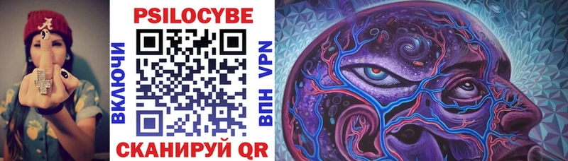Купить закладки  Курлово  Псилоцибиновые грибы Psilocybine cubensis 